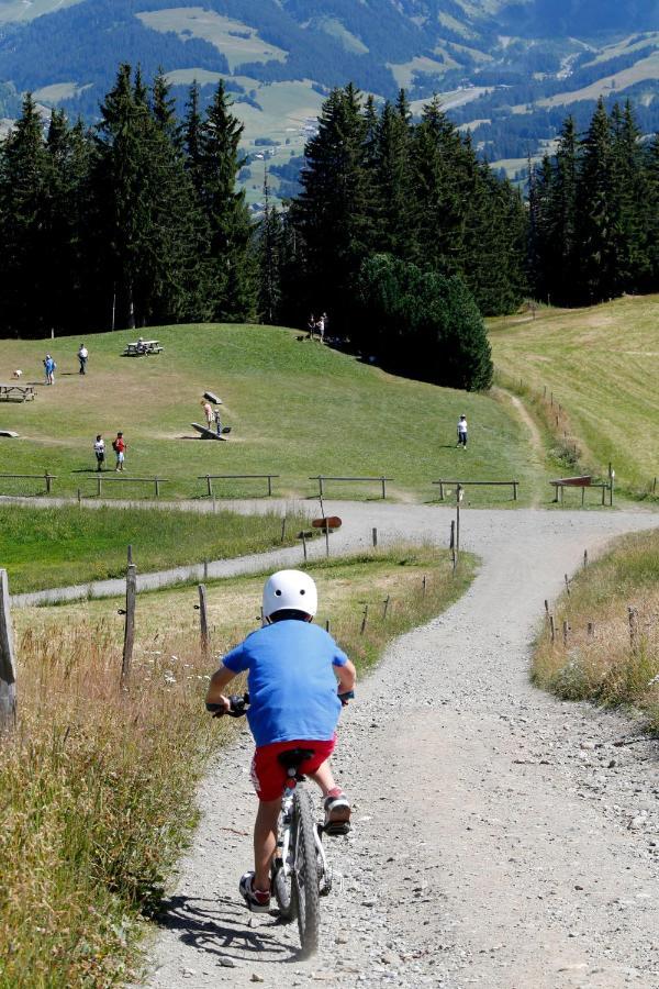 Les Cristaux Bed and Breakfast Saint-Gervais-les-Bains Buitenkant foto