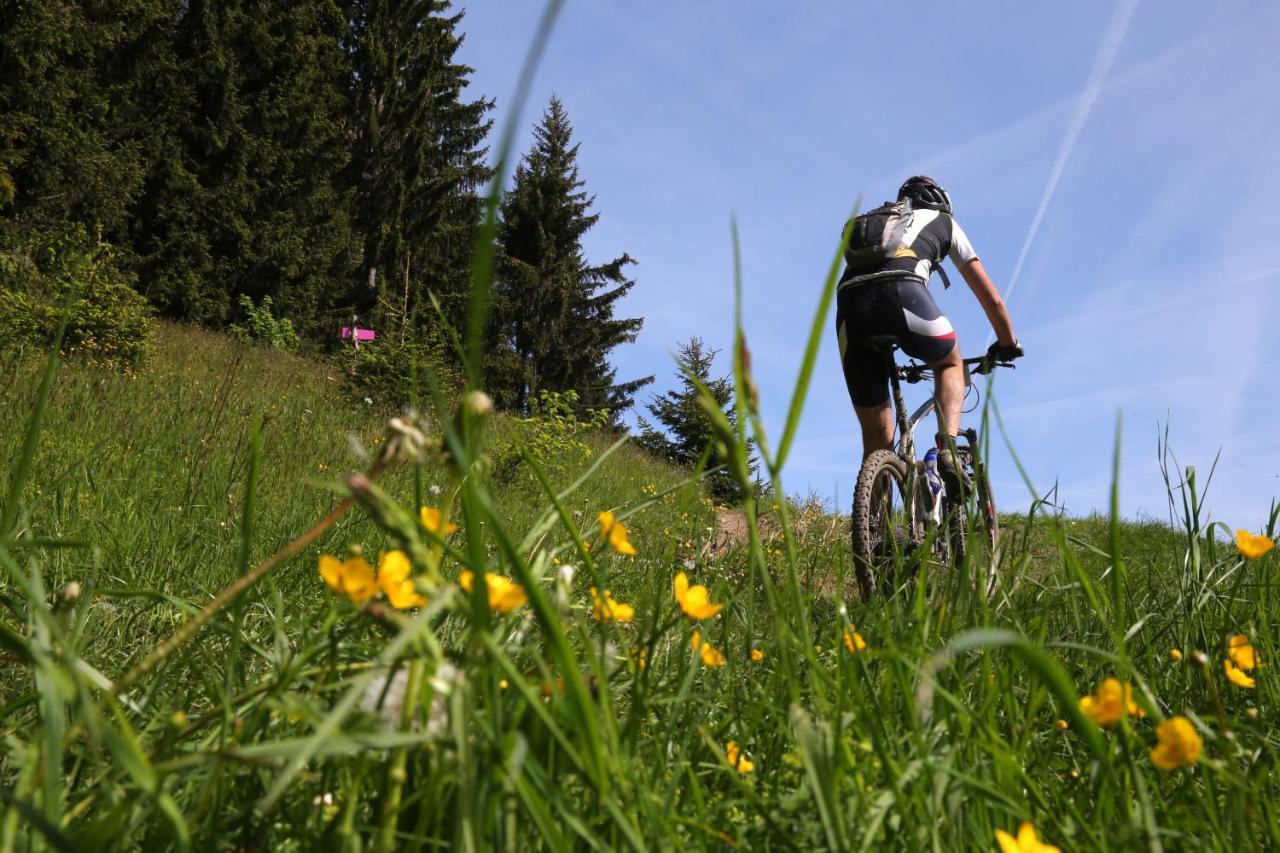 Les Cristaux Bed and Breakfast Saint-Gervais-les-Bains Buitenkant foto